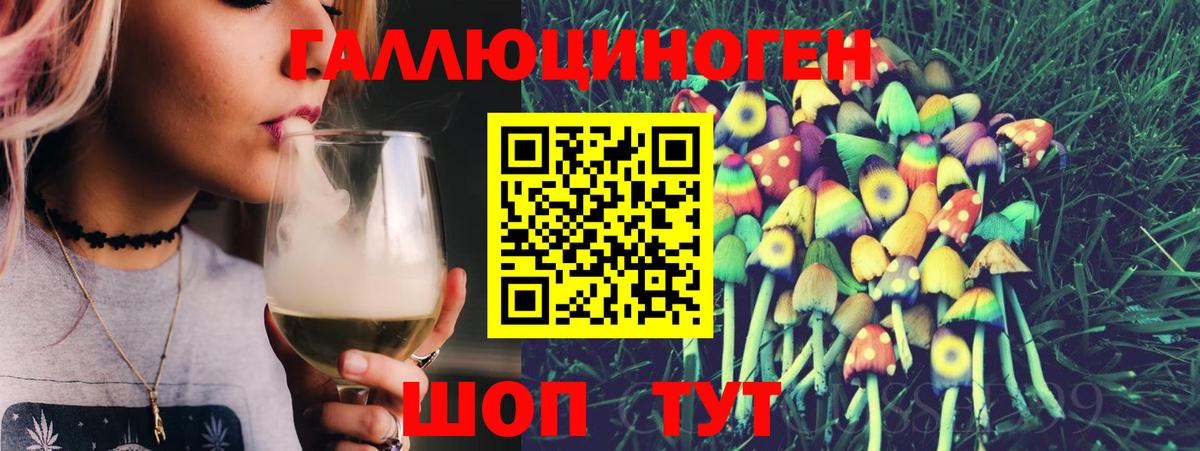 Медногорск  Псилоцибиновые грибы Cubensis  хочу наркоту  Вход с VPN 